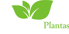 Ouro Verde Plantas